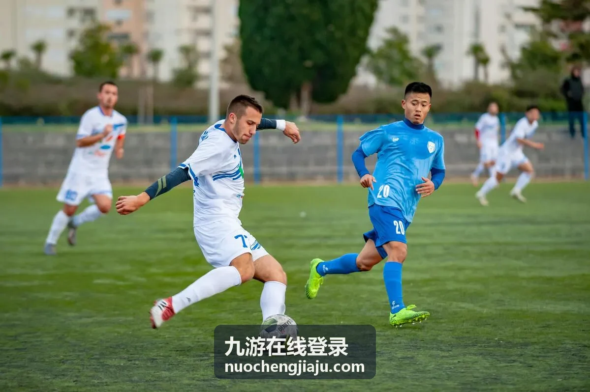 九游在线登录密码输入与验证步骤示意